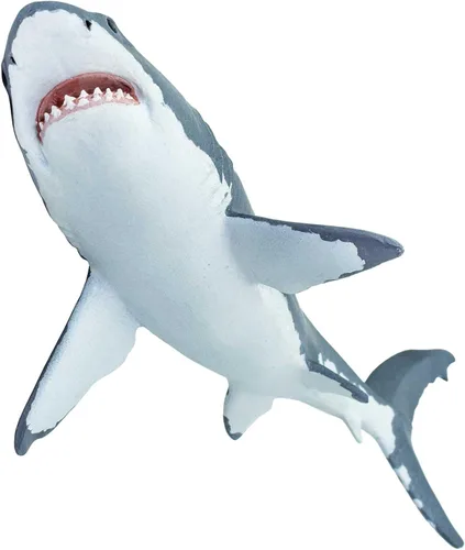 Vista 5 de Safari Ltd. Gran figura de tiburón blanco – Figura de modelo realista de 6.25 pulgadas – Juguete educativo para niños, niñas y niños a partir de 3