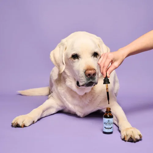 Vista 5 de Sophie's Apawthecary Minerales traza para mascotas – Más de 70 minerales esenciales con ácido fúlvico para la salud óptima de las mascotas