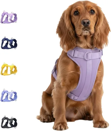 Vista 13 de Dog Harness - No Pull Adjustable Front Clip Vest with Soft Padding, 3Leash Clips, and No-Choke Oxford Design Comfort for Small, Medium, and Large