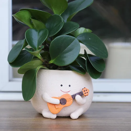 Vista 7 de Maceta con Cara Sonriente con Agujero de Drenaje Lindas Macetas de Cabeza de Resina para Planta de Cuerda de Perlas, Maceta Única de Guitarra