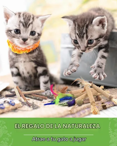 Vista 7 de Palitos masticables de Silvervine de TINDTOP para gatos, paquete de 12 unidades de juguetes naturales masticables de hierba gatera para limpieza