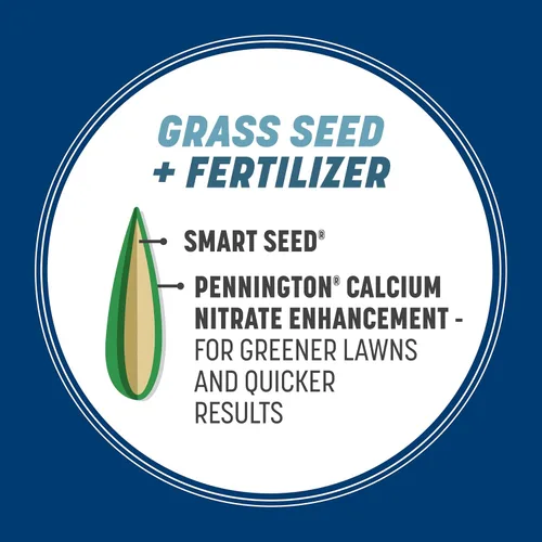 Vista 4 de Pennington Smart Seed Kentucky Bluegrass Blend, semillas de césped