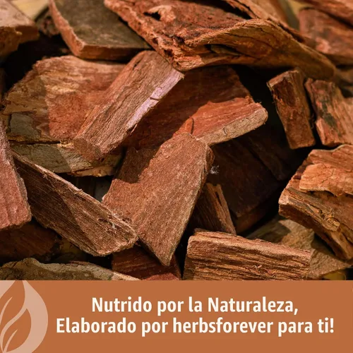 Vista 8 de HerbsForever Arjuna Powder – Terminalia Arjuna – Sin OMG, Orgánico, Vegano – 454 GMS