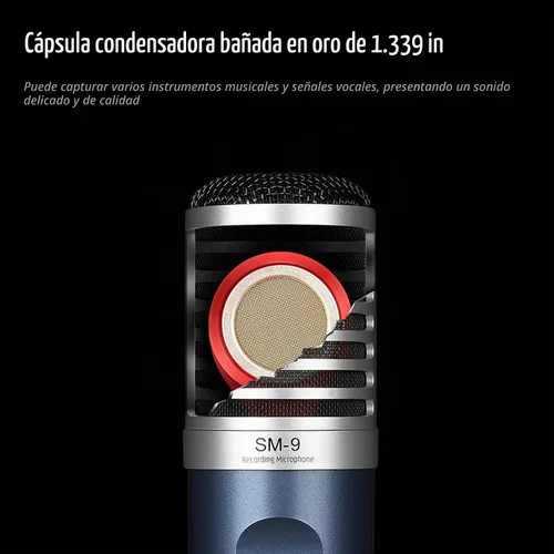 Vista 2 de TAKSTAR XLR - Micrófono de condensador cardioide, micrófono de grabación profesional de diafragma grande de 1.34 pulgadas con soporte de choque