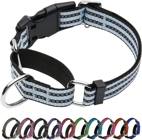Vista 23 de Martingale - Collar reflectante de nailon ajustable con hebilla de liberación rápida, collares de entrenamiento para perros pequeños, medianos