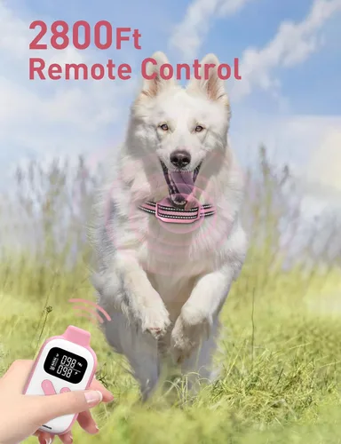 Vista 12 de Collar de Entrenamiento para Perros sin Choque, Collar de Perro con Pitido y Vibración con Control Remoto 853M, Collar de Vibración para Perros