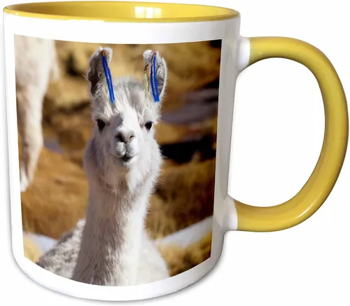 Vista 10 de 3dRose Taza de café, tamaño - 15oz - Argentina, Santa Rosa de los Pastos Grandes, llama - SA01 JRI0222 - Jutta Riegel Llamas - divertida taza