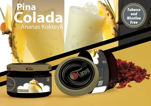 Vista 44 de Tanya Herbal Hookah Molasas 100% sin nicotina y tabaco Sabores de shisha de narguile orgánicos Mezcla de frutas Sabores de shisha 250g Frascos
