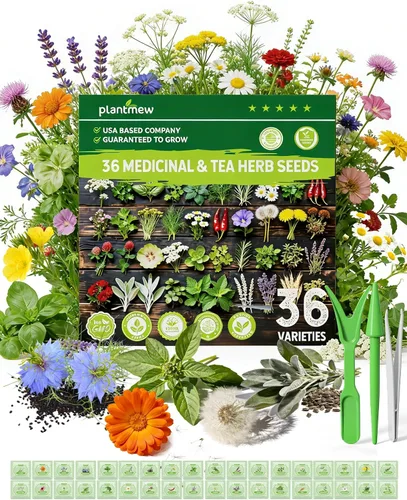 Vista 11 de 35 semillas de hierbas medicinales y de té para plantar, paquete variado