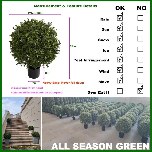 Vista 2 de ALL SEASON GREEN Juego de 2 plantas artificiales de boj de 2 pies de altura y 18 pulgadas de ancho, plantas topiarias artificiales en maceta