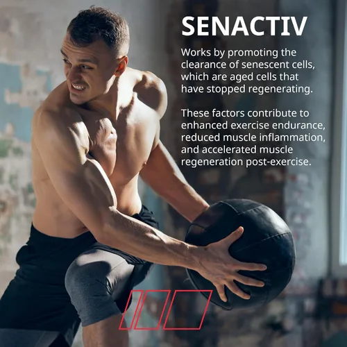 Vista 6 de Granite Nutrition Recovery - Bebida intraentrenamiento prémium con EAA, dextrina en racimo, Sensoril y Senactiv para rendimiento atlético