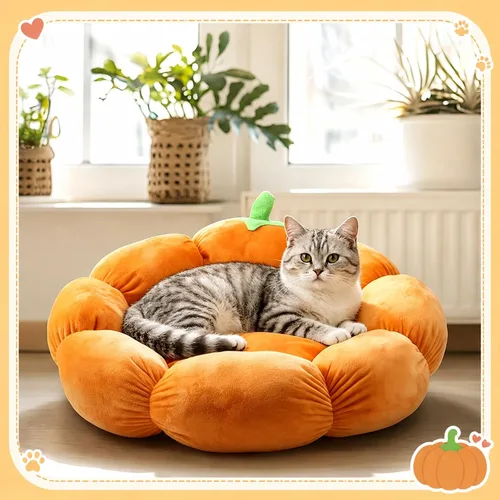 Vista 4 de RattanView Cojín para gatos y mascotas, para gato, calabaza, 20 x 19 x 6
