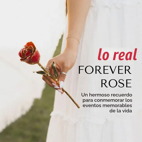 Vista 6 de Forever Rose - Jarrón transparente de cristal decorativo duradero