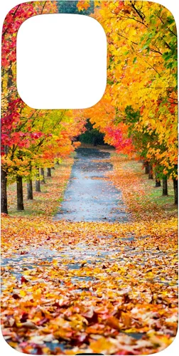 Vista 13 de iPhone 11 Otoño Hojas - Hermoso estuche de arboles