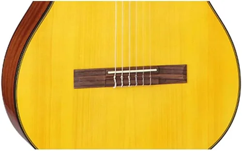 Vista 3 de Takamine Serie G GC3CE-NAT Guitarra Clásica Acústico-Eléctrica Cutaway, Natural