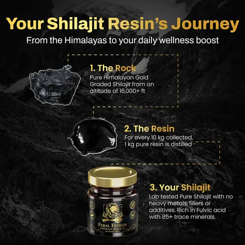 Vista 7 de 1.76 oz Probado en laboratorio en los Estados Unidos Resina Shilajit del Himalaya 100% pura – Grado dorado Más de 85 minerales traza y ácido