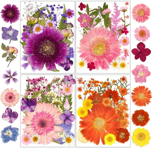 Vista 9 de Flores secas, 58 flores prensadas Resiners para manualidades Berry Red 58pcs