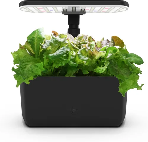 Vista 13 de Sistema hidropónico de jardín interior AeroGarden Harvest con luz de cultivo LED y kit de hierbas, con capacidad para hasta 6 cápsulas, color blanco