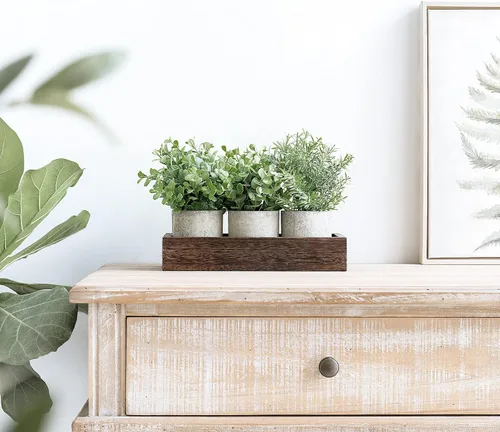 Vista 3 de Dahey - Juego de 3 plantas artificiales en miniatura en maceta de eucalipto con bandeja de madera, centro de mesa, decoración de mesa, macetas