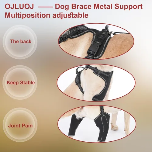 Vista 3 de Rodillera de metal para perro, longitud ajustable con cuerda de tracción usada en la pierna delantera y trasera, cachorros, tallas M, perros
