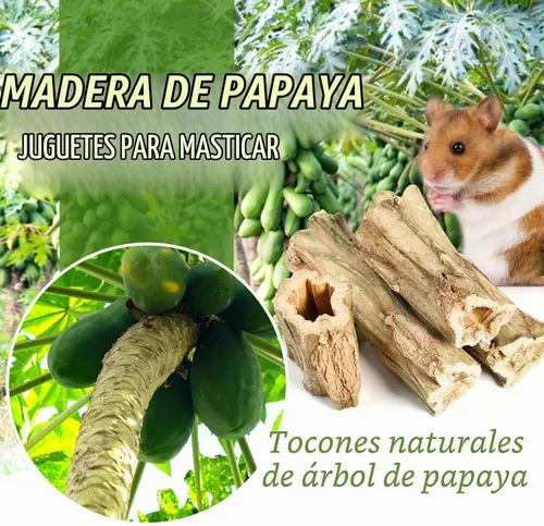 Vista 3 de Abizoo Juguetes masticables de conejo para conejos, 4 piezas de madera de papaya natural, palitos masticables de conejito para dientes, chinchilla