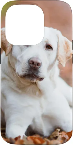 Vista 17 de Labrador Retriever Dog Lover - Carcasa para iPhone 17