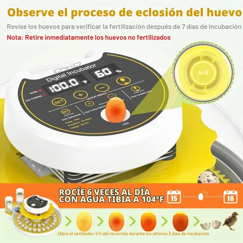 Vista 4 de Incubadora de huevos de codorniz para incubar 40 huevos de codorniz con Amarillo