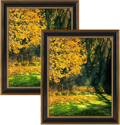 Vista 9 de marco de fotos de 16x20 pulgadas sin paspartú para póster/foto/impresión de 16x20, pantalla de montaje en pared de vidrio real resistente a roturas