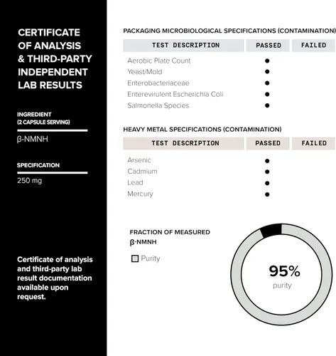 Vista 5 de Toniiq Suplemento NMNH – UthPeak™ clínicamente estudiado – 95% altamente purificado y probado por terceros para NAD+ y apoyo al envejecimiento