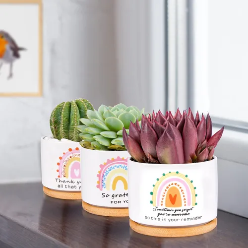 Vista 5 de SAIWEILAI - Juego de 9 macetas de cerámica para suculentas con bandejas de bambú, macetas redondas pintadas para decoración de escritorio