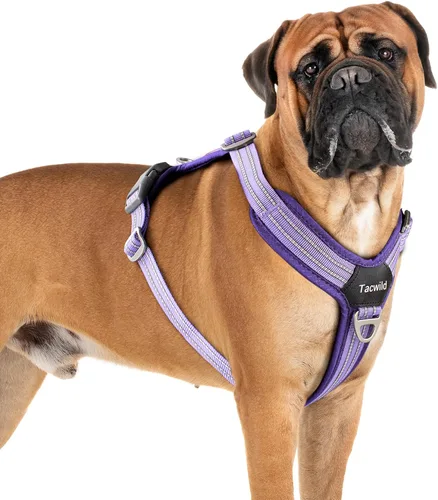 Vista 25 de Arnés sin tirones para perro, chaleco reflectante ajustable con broche de metal, malla suave transpirable sin estrangulamiento para cachorro, fácil