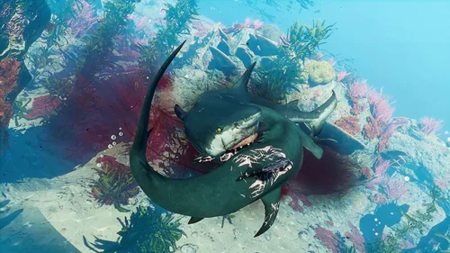 Vista 13 de Maneater - PlayStation 4