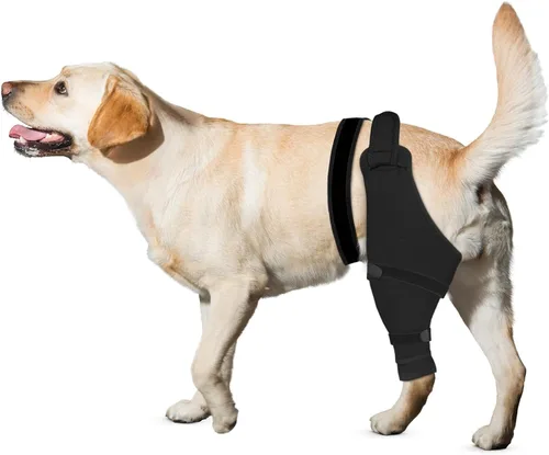Vista 7 de Funda de pierna trasera para perro para dejar de lamer, protector de pierna trasera para recuperación de TPLO, cirugía de ACL, heridas o problemas