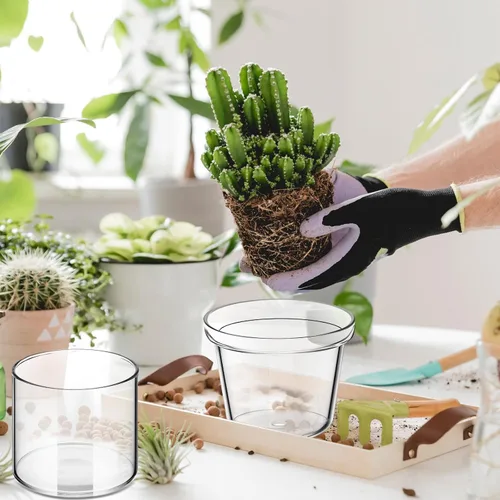 Vista 5 de 2 Piezas Macetas de Autoriego de 4 Pulgadas para Plantas de Interior Maceta de Vidrio Transparente Maceta Pequeña para Plantas con Platillo Depósito