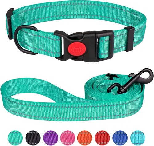 Vista 9 de Juego de collar y correa reflectante para perro con hebilla de bloqueo de seguridad, collares de nailon para mascotas ajustables para perros Negro