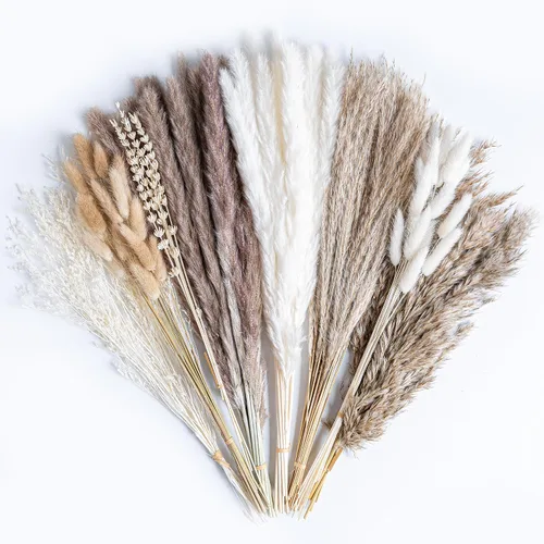 Vista 7 de 70 UNIDADES Hierba de Pampa Seca Natural Estilo Boho para Decoración del Hogar Ramo de Phragmites Flores Secas para Arreglos Florales de Boda