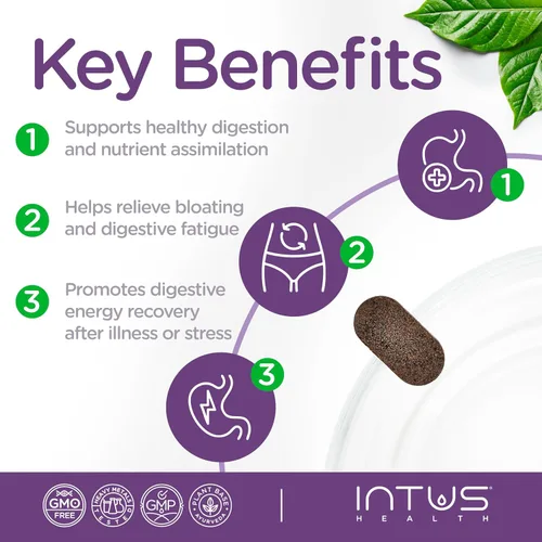 Vista 6 de Intus Heal - Suplemento de limpieza de colon y salud intestinal para hombres y mujeres, limpieza de desintoxicación ayurvédica para la salud