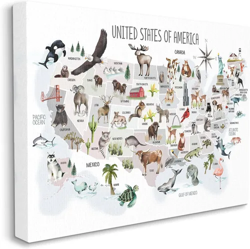 Vista 8 de Estados Unidos de América Mapa de Animales Kid's' Arte de placa de pared Stupell Industries 15 x 10 pulgadas, fácil de colgar y resistente