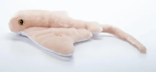 Vista 9 de The Petting Zoo Cownose Ray - Peluche de peluche, regalos para niños, animales marinos Wild Onez, juguete de peluche de rayas de 24 pulgadas
