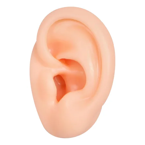 Vista 13 de Modelo de cejas de silicona, modelo de piezas del cuerpo de práctica de piercing, modelo de exhibición de cejas para práctica de piercing