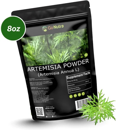 Vista 8 de Go Nutra Polvo de ajenjo dulce (Artemisia annua) Artemisinina natural Apoya la salud digestiva, la energía y los antioxidantes Té de hierbas
