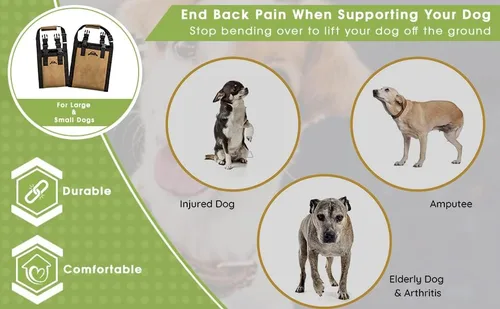 Vista 6 de Arnés de elevación para perros – Arnés de apoyo para perros – Elevador de escaleras para perros – Elevador de coche para perros discapacitados