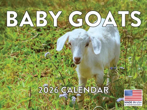 Vista 10 de Calendario mensual de pared de alpaca 2025 Fabricado en Estados Unidos