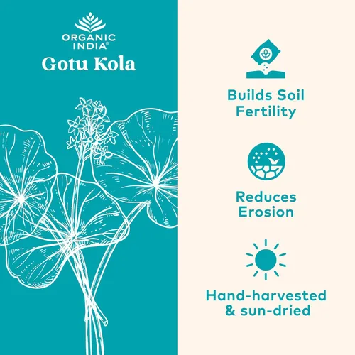 Vista 2 de Cápsulas de Gotu Kola de Organic India (90 cápsulas)