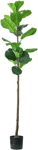 Vista 7 de Plantas falsas, árbol artificial, rama de árbol artificial nórdico, ficus lyrata, árbol de banano falso para el hogar, jardín, decoración de bonsái