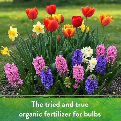 Vista 6 de Down To Earth All Natural Fertilizers Harina de huesos orgánica - Alimento vegetal con alto contenido de fósforo para brotes, bulbos, flores, flores