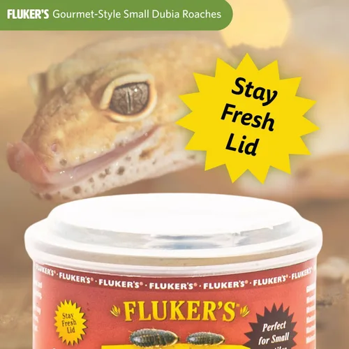 Vista 4 de Fluker's Alimento enlatado gourmet para reptiles, peces, pájaros y animales pequeños, cucarachas pequeñas Dubia, 1.2 oz