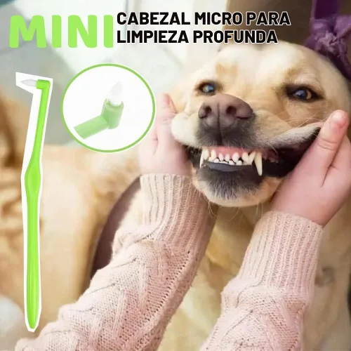 Vista 3 de Paquete de 8 cepillos de dientes pequeños para perros y gatos, cepillo de dientes para mascotas de 360º/mini cabeza/doble cabeza/10000 cerdas