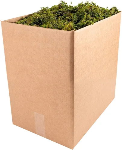 Vista 10 de SuperMoss (25320) Musgo de bosque preservado, fresco y verde, 2 oz