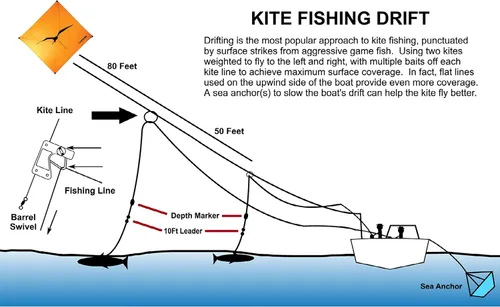 Vista 3 de Marcadores de línea de pesca Tigress Kite, 3 incluidos